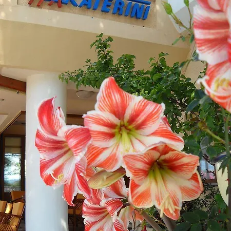 Katerini 3*