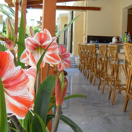 Katerini Apart-hotel 3*